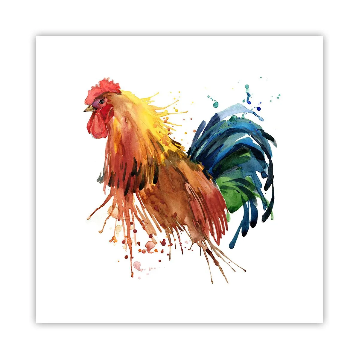 Poster - Königliches Gewand, königlicher Stolz - 60x60 cm