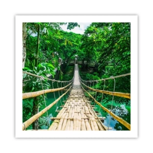 Poster - Monkey Bridge über das Grün - 60x60 cm