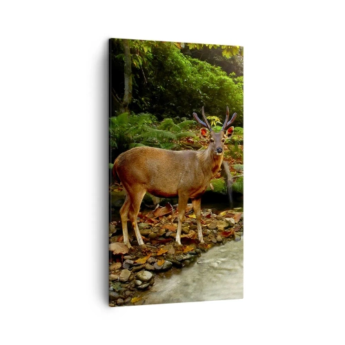 Bild auf Leinwand - Leinwandbild - Willkommen in meiner Welt - 45x80 cm