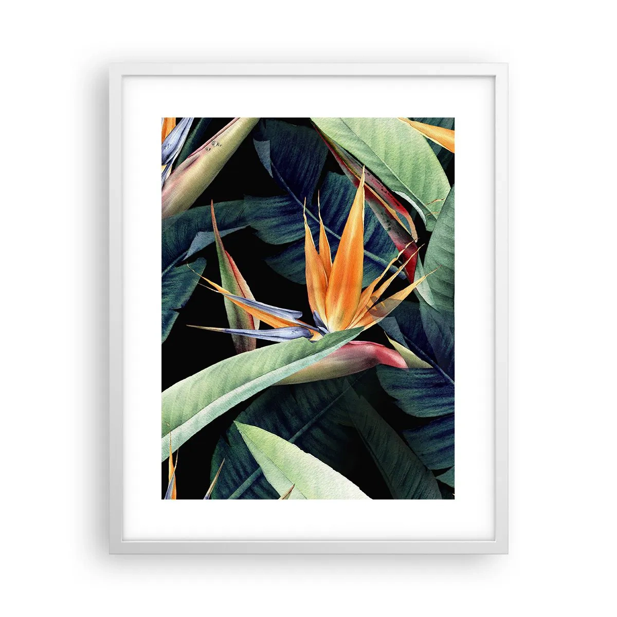 Poster in einem weißen Rahmen - Flammende Blumen der Tropen - 40x50 cm