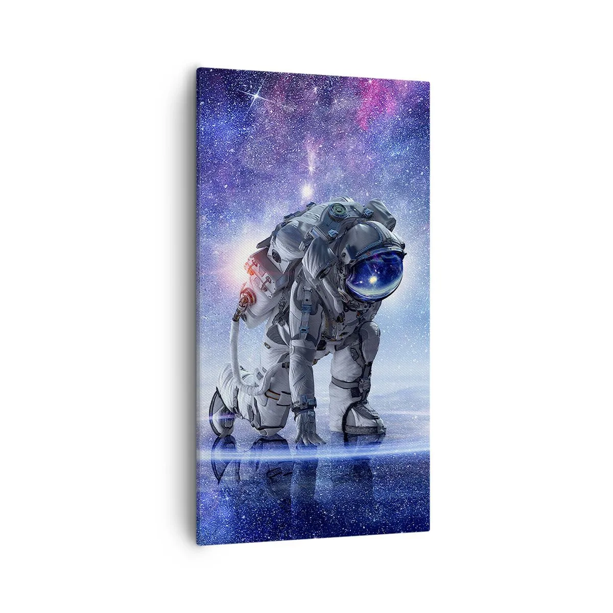 Bild auf Leinwand - Leinwandbild - Der Sternenhimmel über mir - 55x100 cm