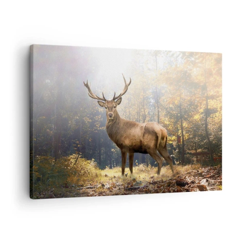 Bild auf Leinwand - Leinwandbild - Hirsch im herbstlichen Wald mit Sonnenstrahlen - 70x50cm - In voller Majestät - Moderne Wanddekoration für Wohnzimmer und Schlafzimmer ARTTOR
