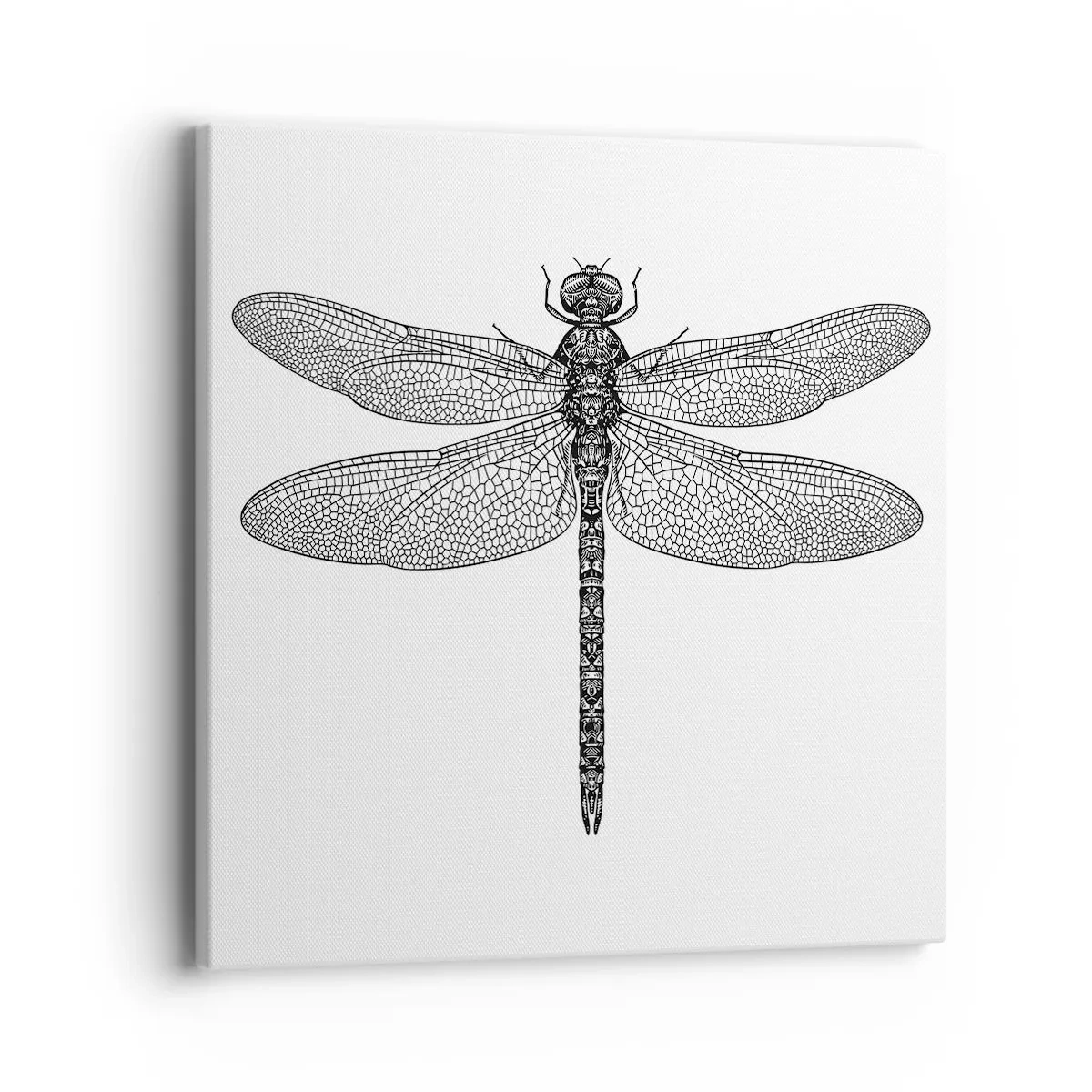 Bild auf Leinwand - Leinwandbild - Präzision der Natur - 40x40 cm