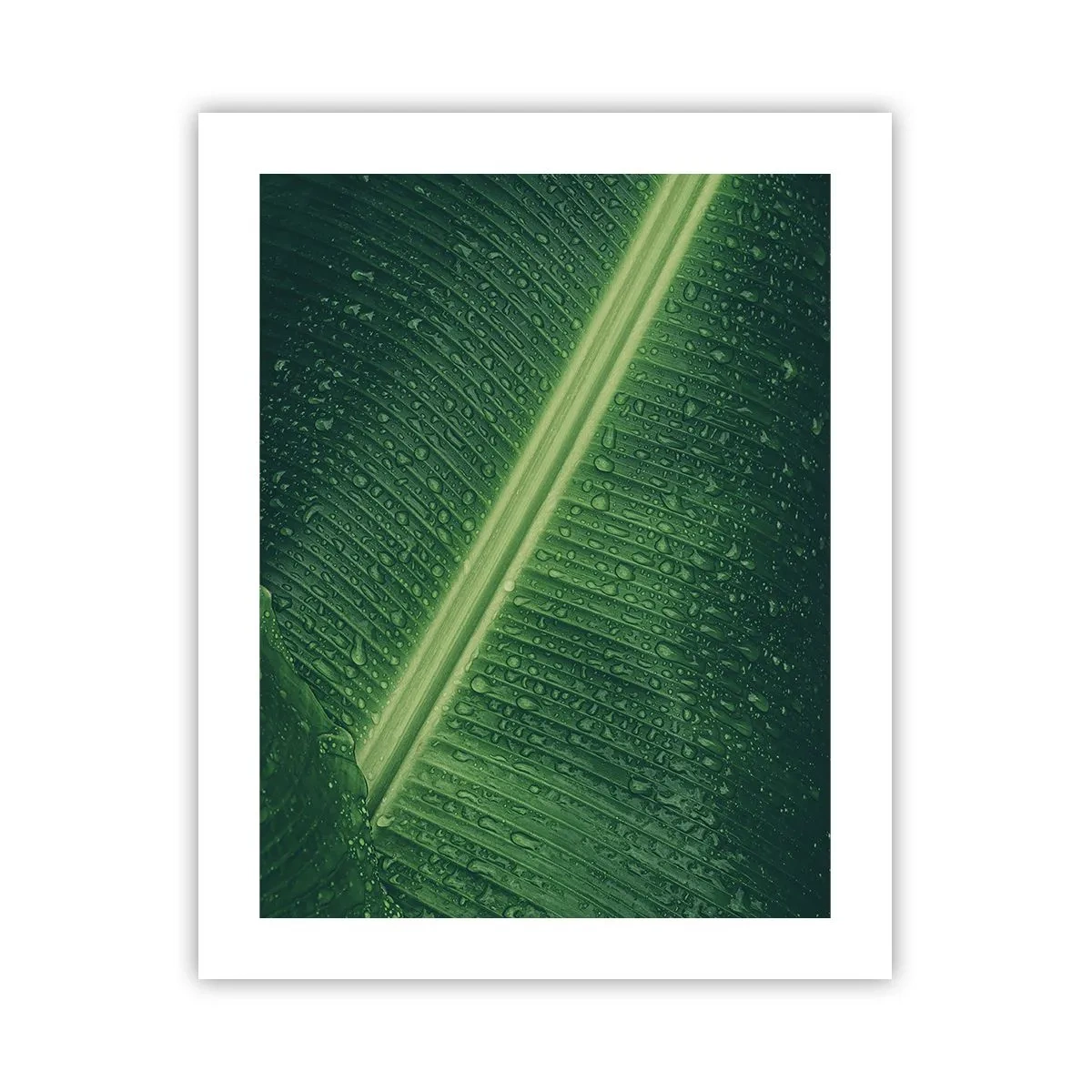 Poster - Die Struktur des Grüns - 40x50 cm