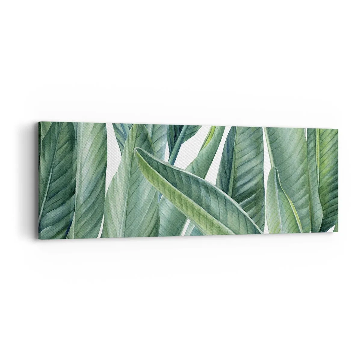 Bild auf Leinwand - Leinwandbild - An und für sich Grün - 90x30 cm