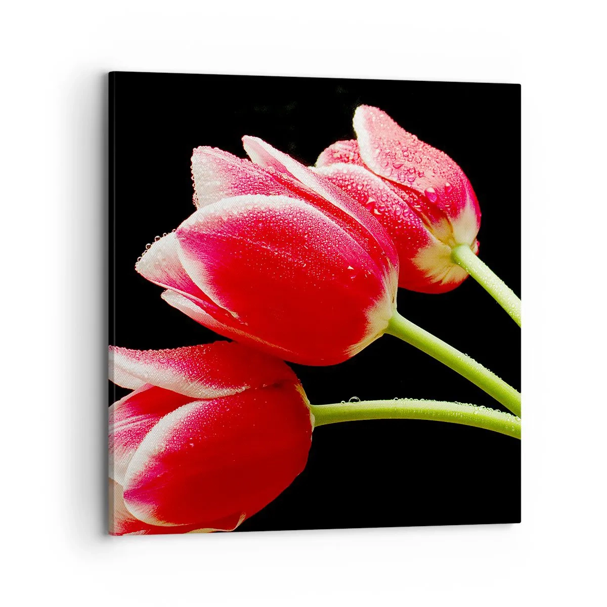 Bild auf Leinwand - Leinwandbild - Ein Versprechen der reinen Liebe - 70x70 cm