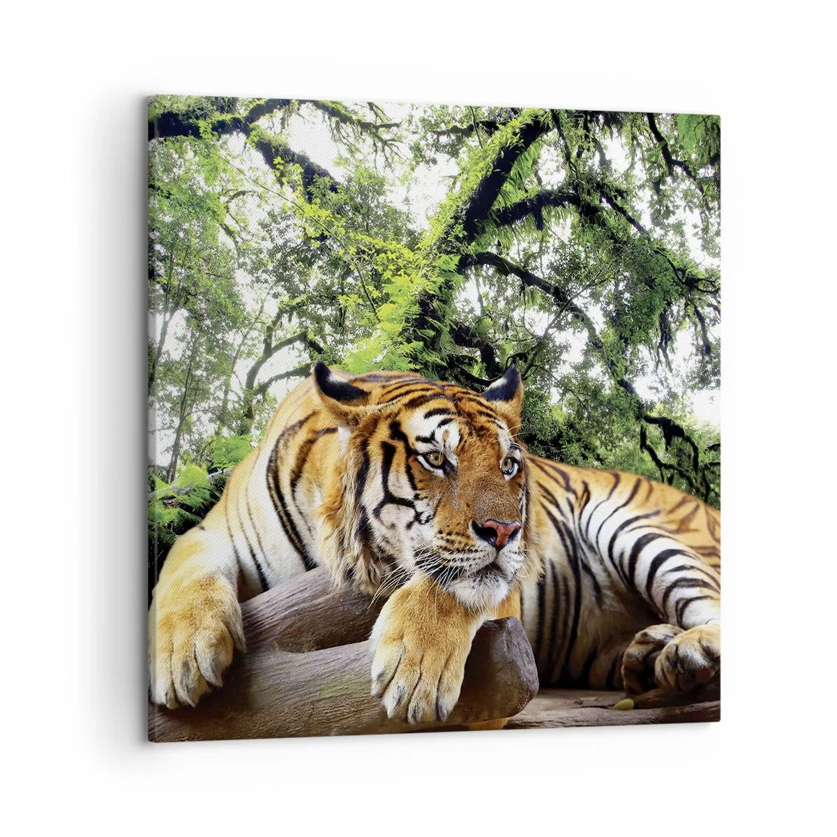 Bild auf Leinwand - Leinwandbild - Hochachtungsvoll - 50x50 cm