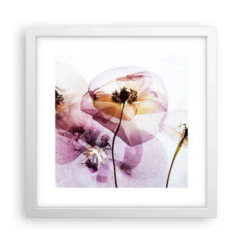 Poster in einem weißen Rahmen - Transparente Körperblumen - 30x30 cm
