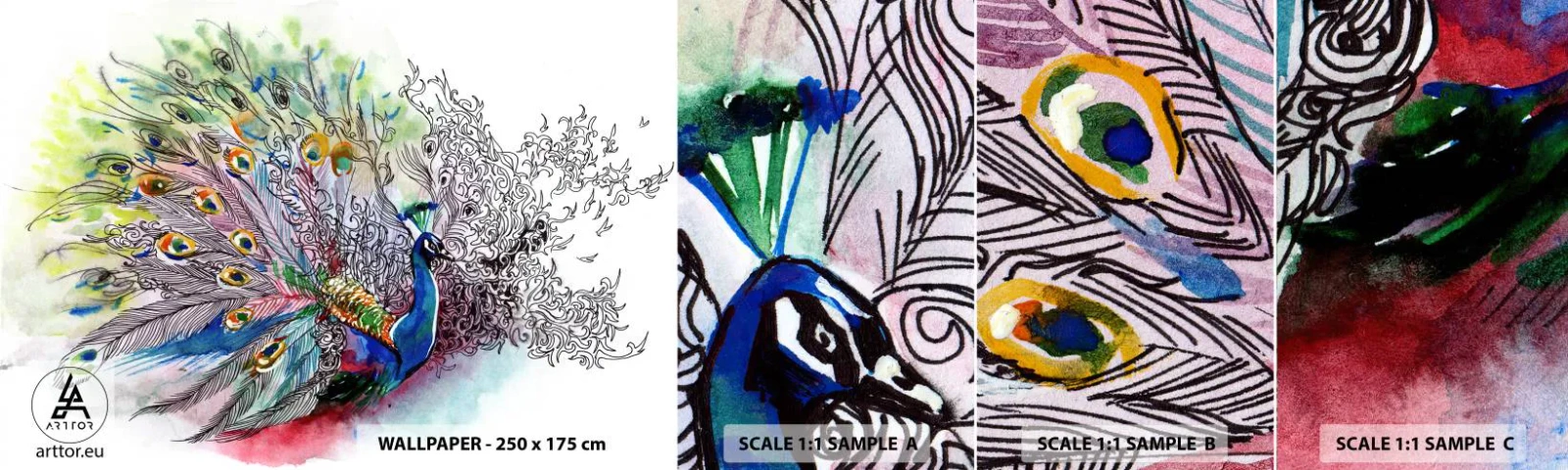 Fototapetenmuster Standard Eco - Mit Stolz gegen Grau - Vogel, Pfau, Gefieder - 100x30 cm