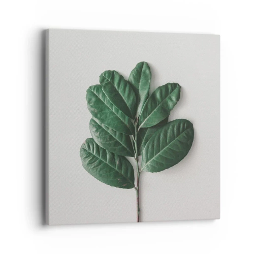 Bild auf Leinwand - Leinwandbild - Eine Zeichnung purer Natur - 40x40 cm