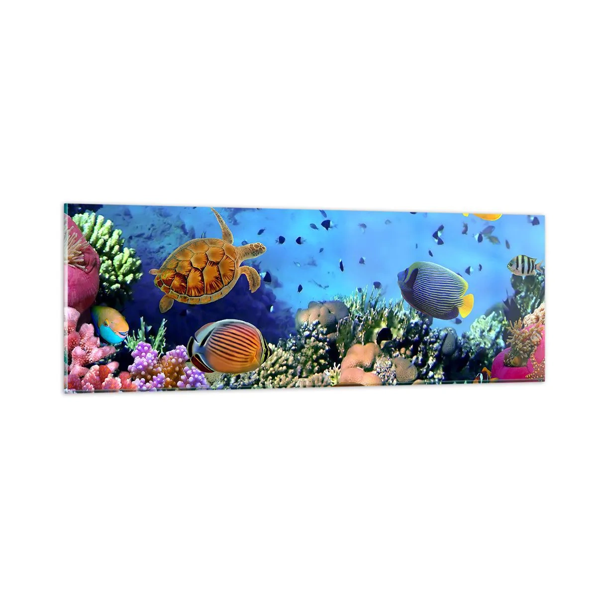 Glasbild - Bild auf glas - Und was wissen wir über das Leben ... - 90x30 cm