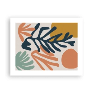 Poster - Korallenmeere - 50x40 cm