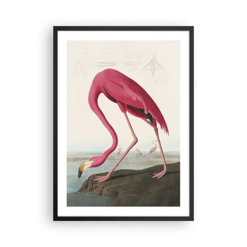 Poster in einem schwarzem Rahmen - Ein rosa Flamingo vor einer natürlichen Landschaft - 50x70cm - Erstaunliche Kreation - Moderne Wanddekoration für Wohnzimmer und Schlafzimmer ARTTOR