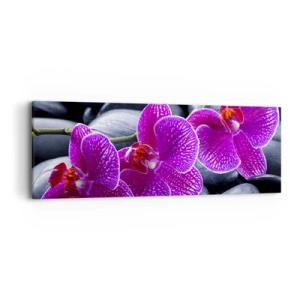 Bild auf Leinwand - Leinwandbild - Die Steine ​​glühten vor Freude - 90x30 cm