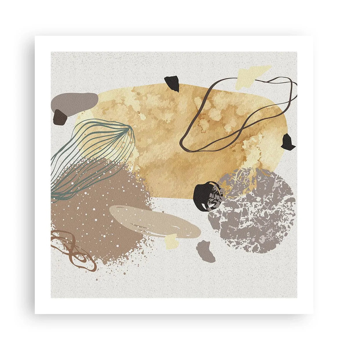 Poster - Angewandte Plumkologie - 60x60 cm