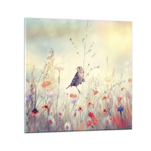 Glasbild - Bild auf glas - Vogelporträt mit einer Wiese im Hintergrund - 30x30 cm