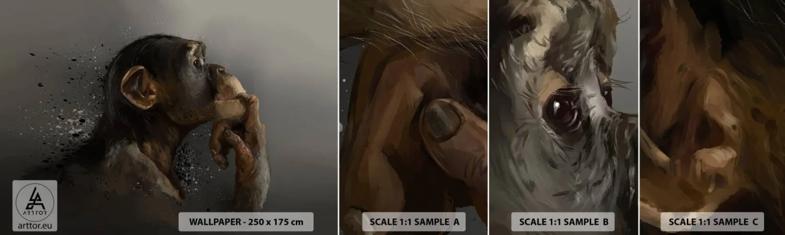 Fototapeten Muster Selbstklebend Deluxe Sticker - Sicherlich ein Denker - Tiere, Affe, Stück - 100x30 cm