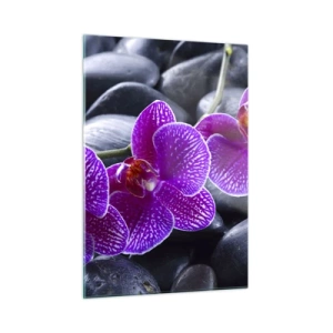 Glasbild - Bild auf glas - Lila Orchideen vor einem Hintergrund aus glatten Steinen - 50x70cm - Die Steine 