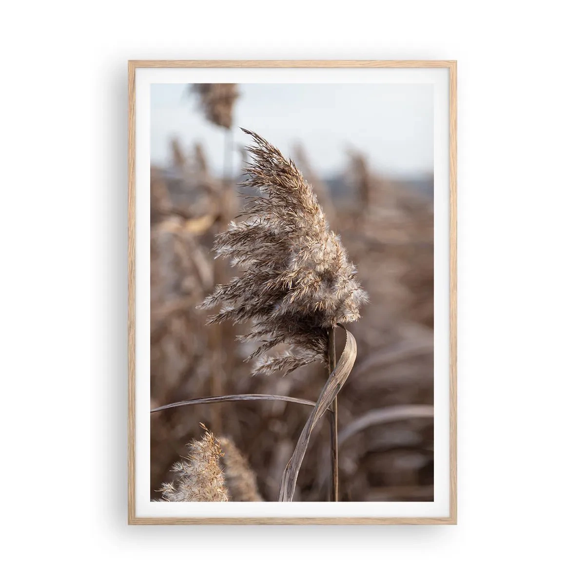 Poster in einem Rahmen aus heller Eiche - Zeit, mit dem Wind zu gehen - 70x100 cm