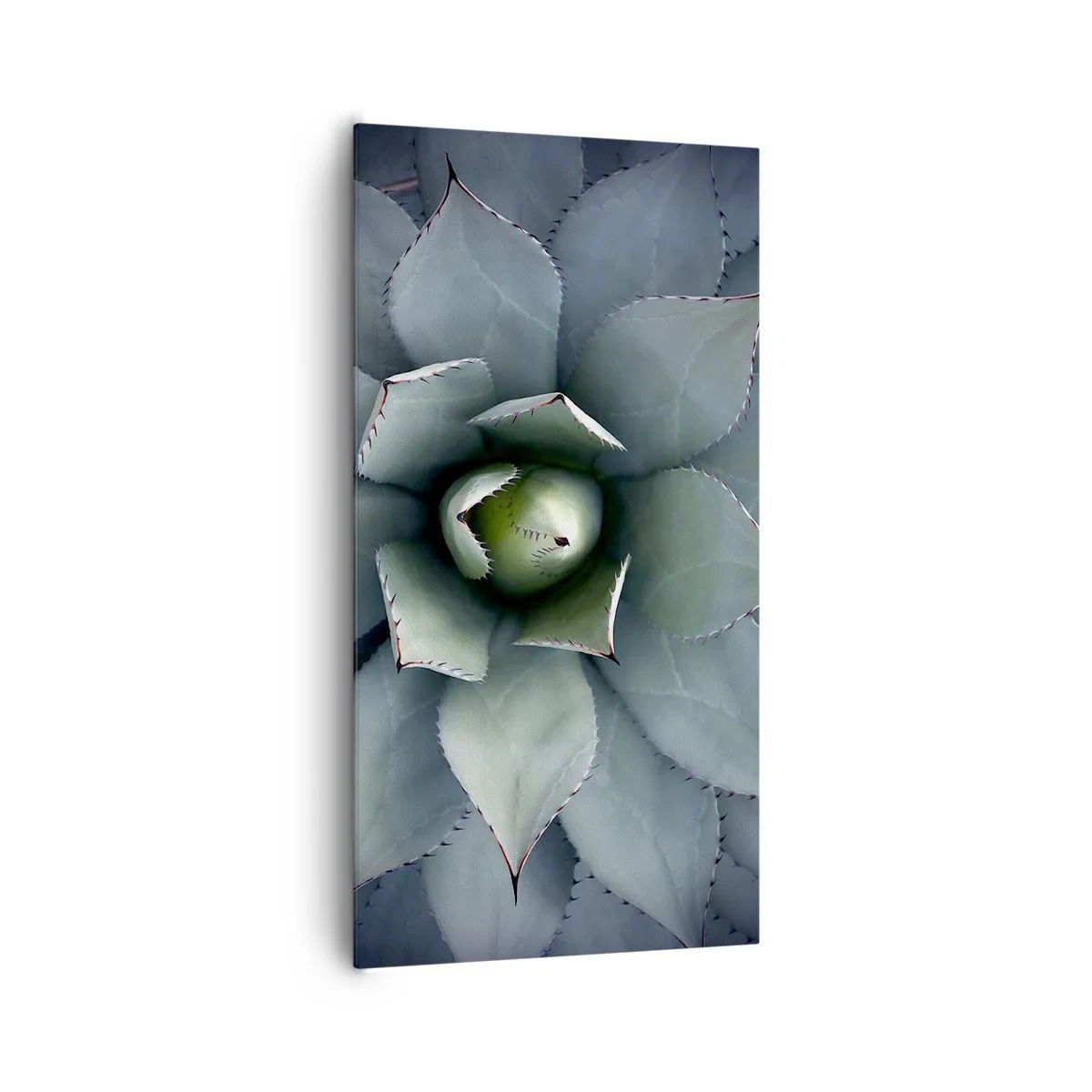 Bild auf Leinwand - Leinwandbild - Es lockt an und warnt - 65x120 cm
