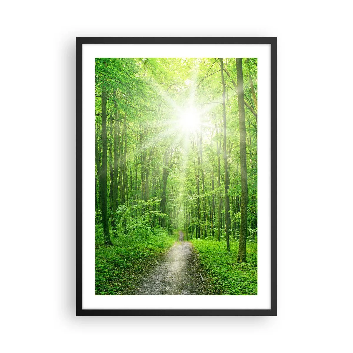 Poster in einem schwarzem Rahmen - Ein Waldweg, beleuchtet von den Sonnenstrahlen - 50x70cm - Die grüne Kathedrale - Moderne Wanddekoration für Wohnzimmer und Schlafzimmer ARTTOR