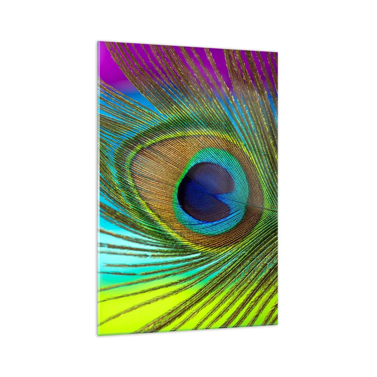 Glasbild - Bild auf glas - Nahaufnahme einer Pfauenfeder mit lebendigen Farben - 70x100cm - Auge in Auge - Moderne Wanddekoration für Wohnzimmer und Schlafzimmer ARTTOR
