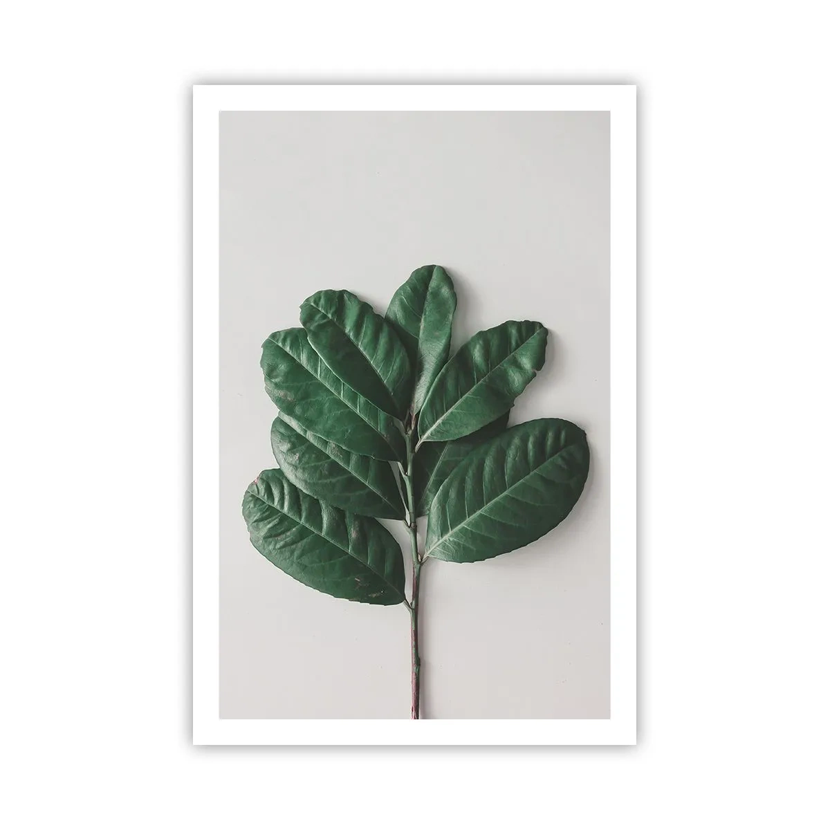 Poster - Eine Zeichnung purer Natur - 61x91 cm