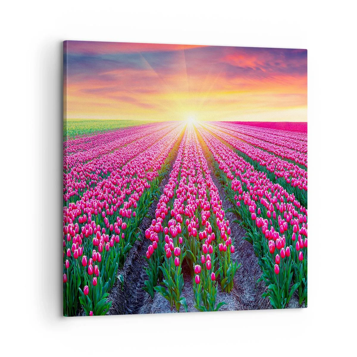 Bild auf Leinwand - Leinwandbild - Schönheitsfarm - 60x60 cm