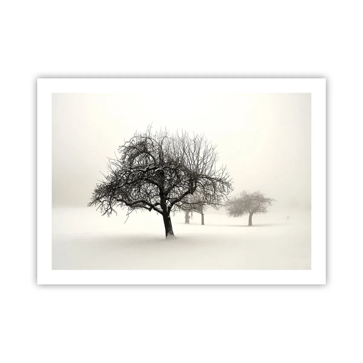 Poster - Winterschlaf - 70x50 cm