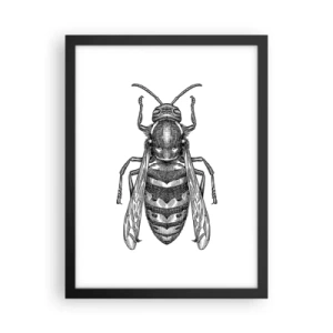 Poster in einem schwarzem Rahmen - Von einem Insektenplaneten - 30x40 cm