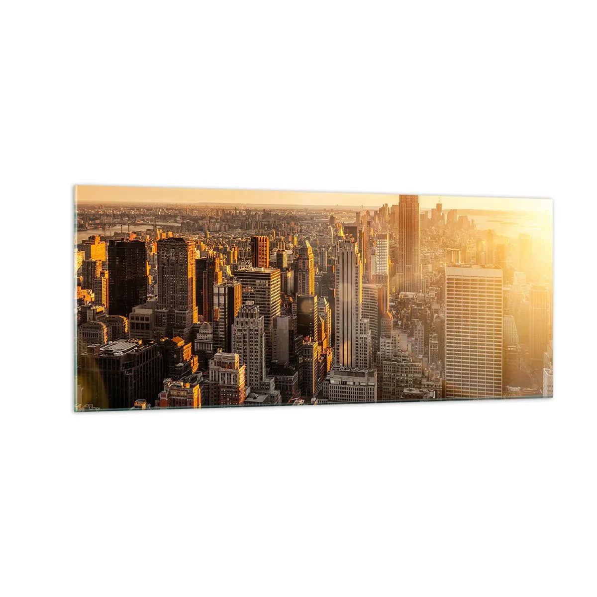 Glasbild - Bild auf glas - In der Sonne wachsen - 100x40 cm