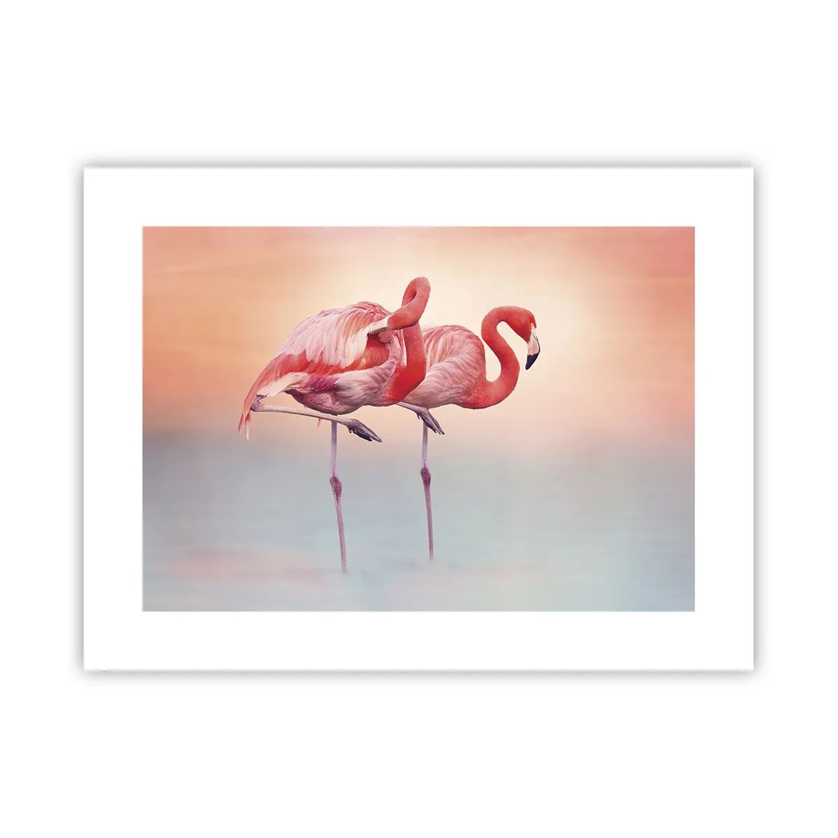 Poster - Die Farbe der untergehenden Sonne - 40x30 cm