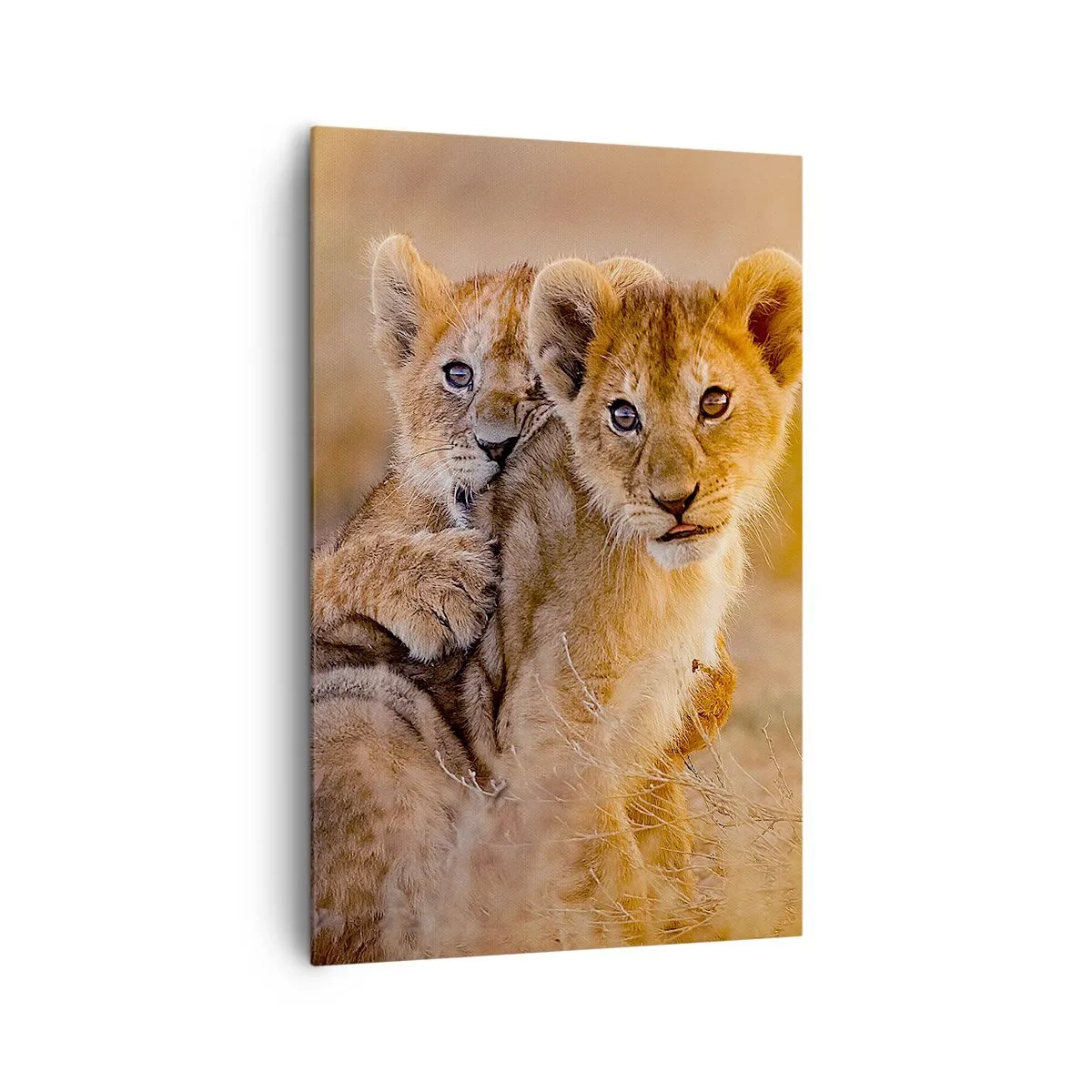 Bild auf Leinwand - Leinwandbild - Entzückende Löwenjungen in ihrer natürlichen Umgebung - 80x120cm - Bitte nicht stören! Wir haben Spaß - Moderne Wanddekoration für Wohnzimmer und Schlafzimmer ARTTOR