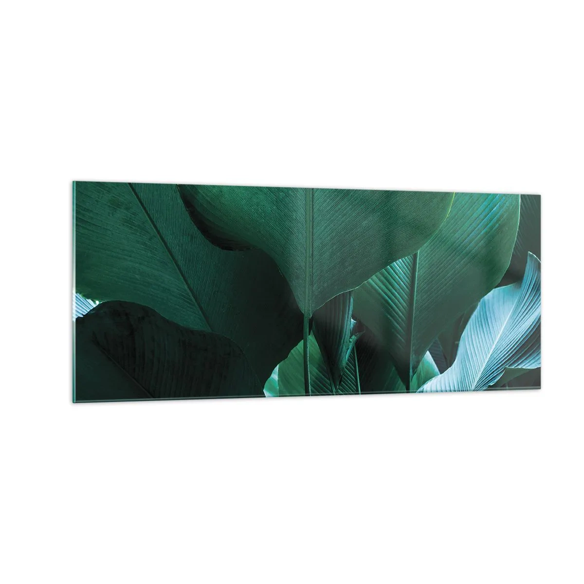 Glasbild - Bild auf glas - Dem Licht zugewandt - 100x40 cm