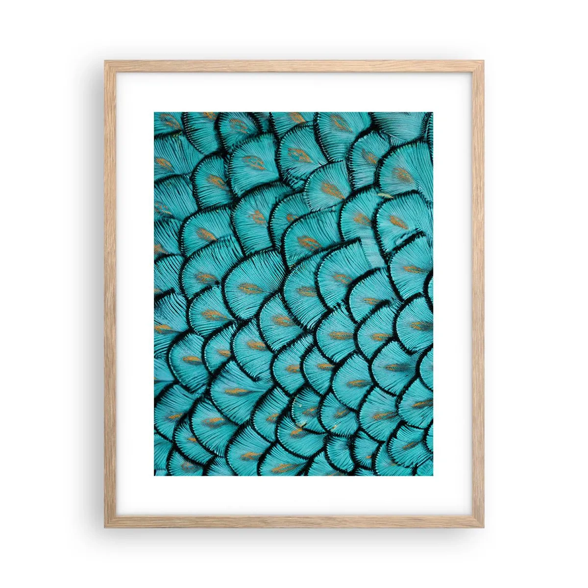 Poster in einem Rahmen aus heller Eiche - Große Federgala - 40x50 cm