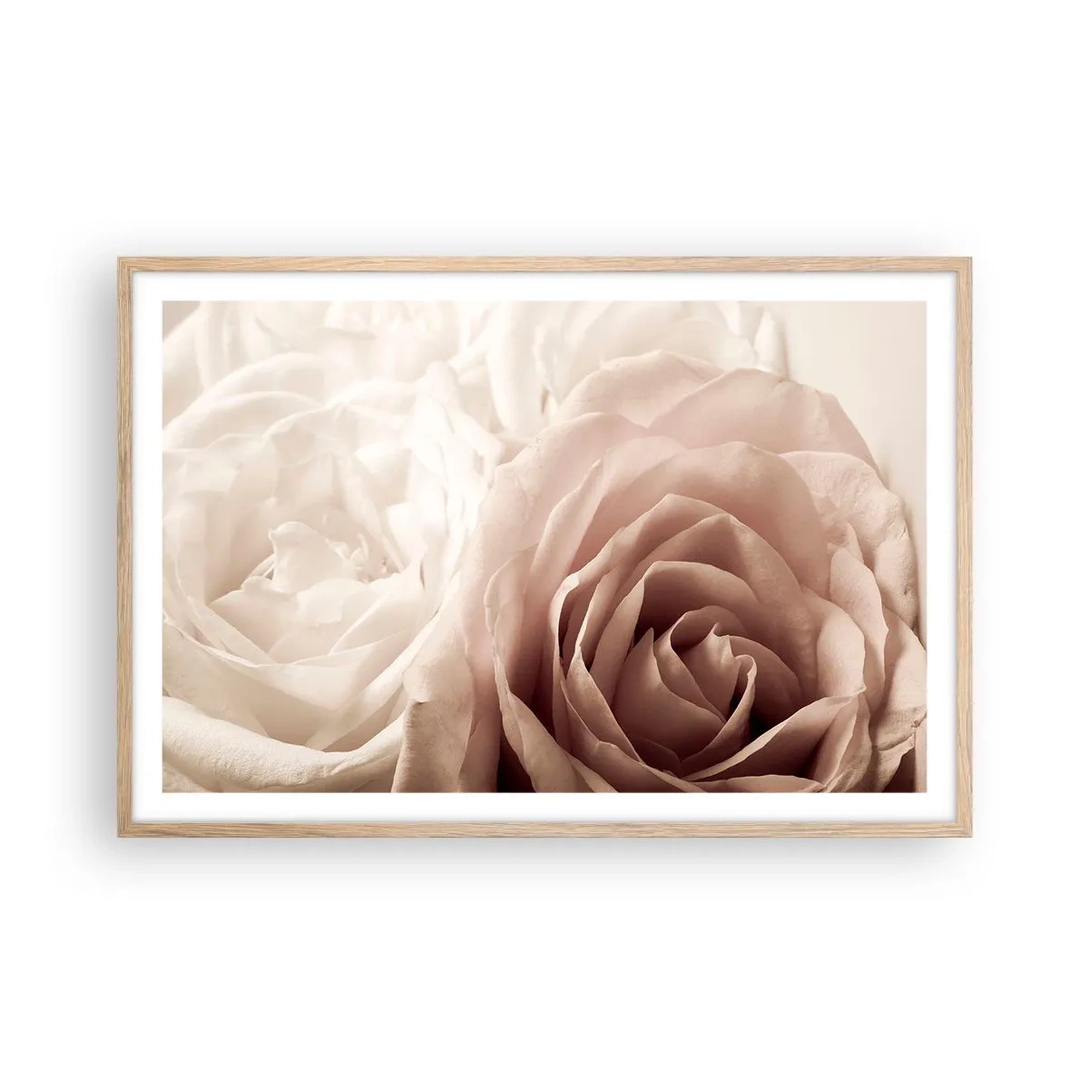 Poster in einem Rahmen aus heller Eiche - Im Herzen der Rose - 91x61 cm