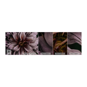 Fototapetenmuster Standard Eco - Ein Blumenherz - Blumenstrauß, Dahlie, Blume - 100x30 cm