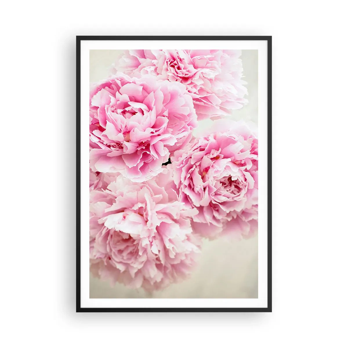 Poster in einem schwarzem Rahmen - In rosa Glamour - 70x100 cm