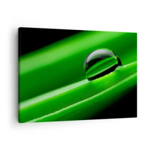 Bild auf Leinwand - Leinwandbild - Nahaufnahme eines Tautropfens auf einem grünen Blatt - 70x50cm - Leben hautnah - Moderne Wanddekoration für Wohnzimmer und Schlafzimmer ARTTOR