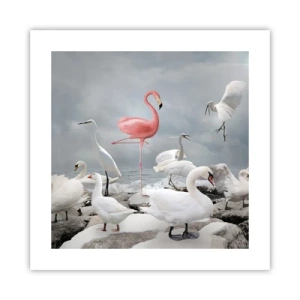 Poster - Wie kam ich hier hin? - 40x40 cm