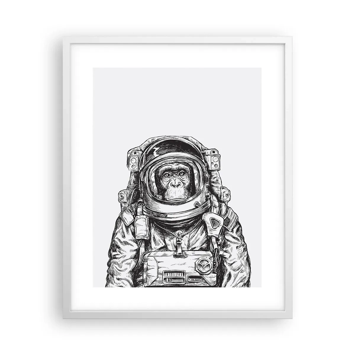 Poster in einem weißen Rahmen - Alternative Evolution - 40x50 cm