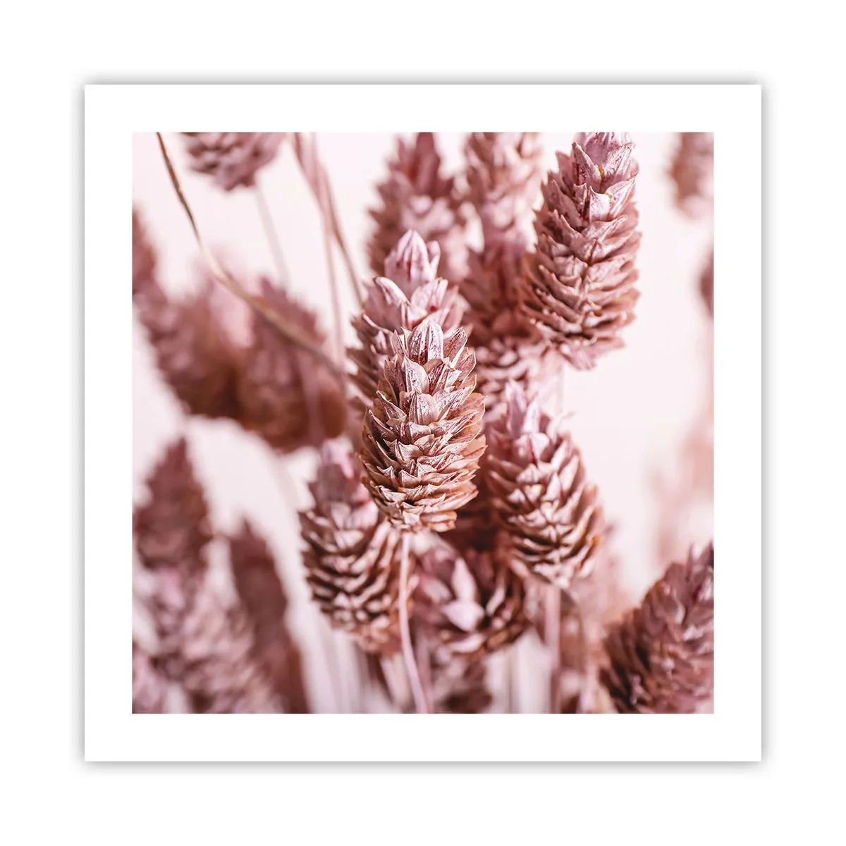 Poster - Scheinbar unauffällig - 50x50 cm