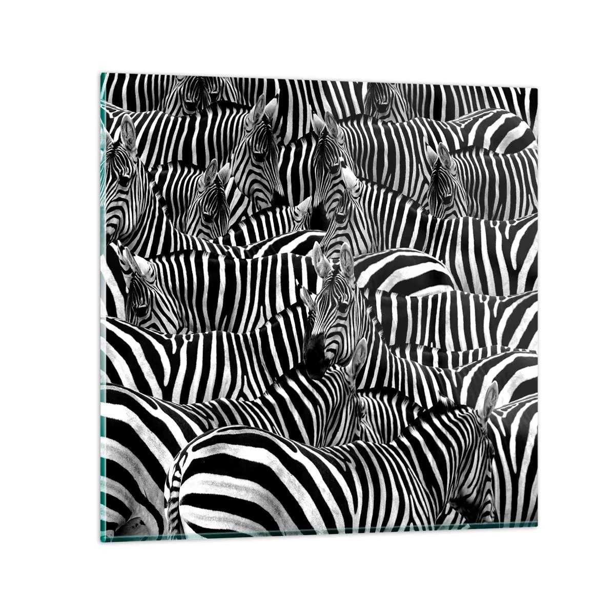 Glasbild - Bild auf glas - Gestreiftes Gruppenportrait - 30x30 cm