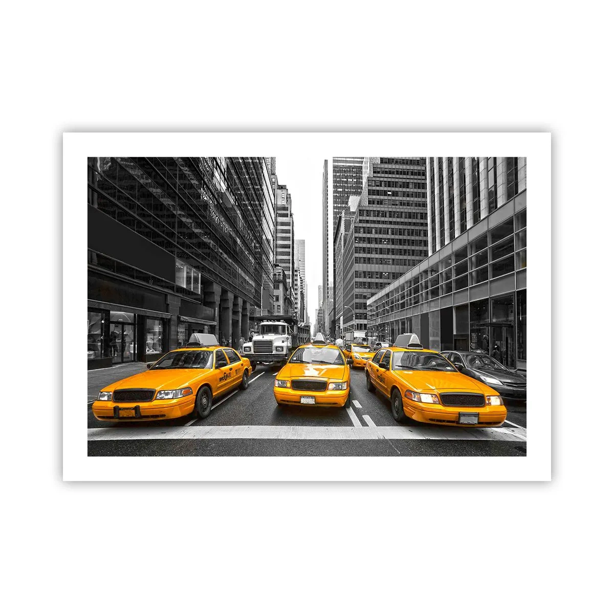 Poster - Wir färben die Stadt - 70x50 cm