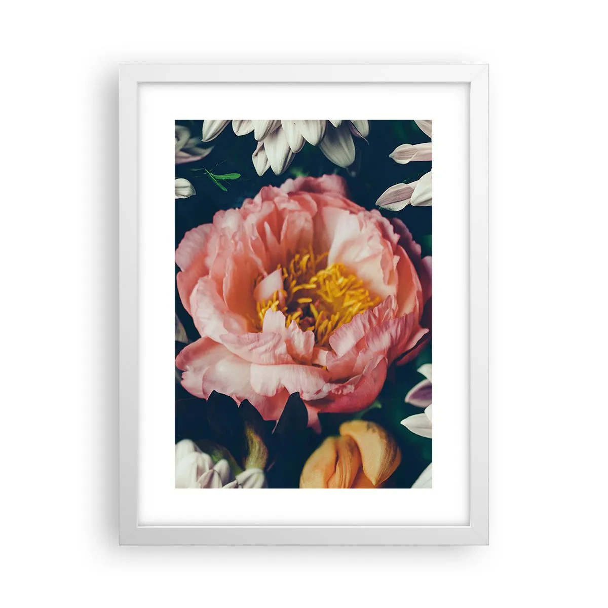 Poster in einem weißen Rahmen - Mit barocker Pracht - 30x40 cm