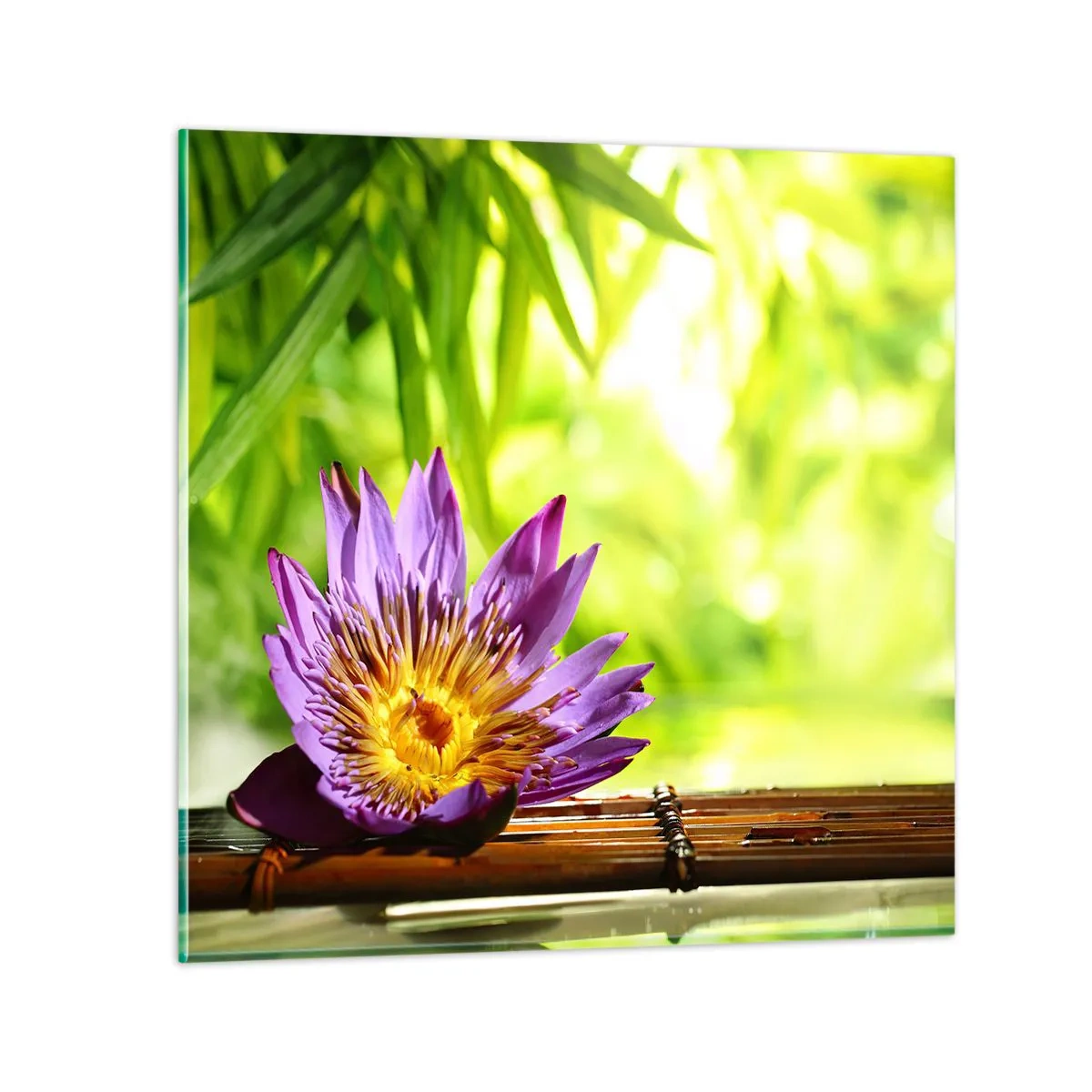 Glasbild - Bild auf glas - In der asiatischen Sonne - 40x40 cm