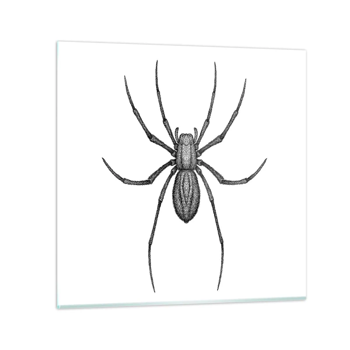 Glasbild - Bild auf glas - Beunruhigende Präzision - 60x60 cm