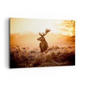 Bild auf Leinwand - Leinwandbild - Hirsch in den Strahlen der aufgehenden Sonne - 100x70cm - Herr im eigenen Land - Moderne Wanddekoration für Wohnzimmer und Schlafzimmer ARTTOR