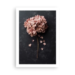 Poster - Getrocknete Hortensien auf schwarzem Hintergrund - 50x70cm - Wirklich romantisches Zeichen - Moderne Wanddekoration für Wohnzimmer und Schlafzimmer ARTTOR