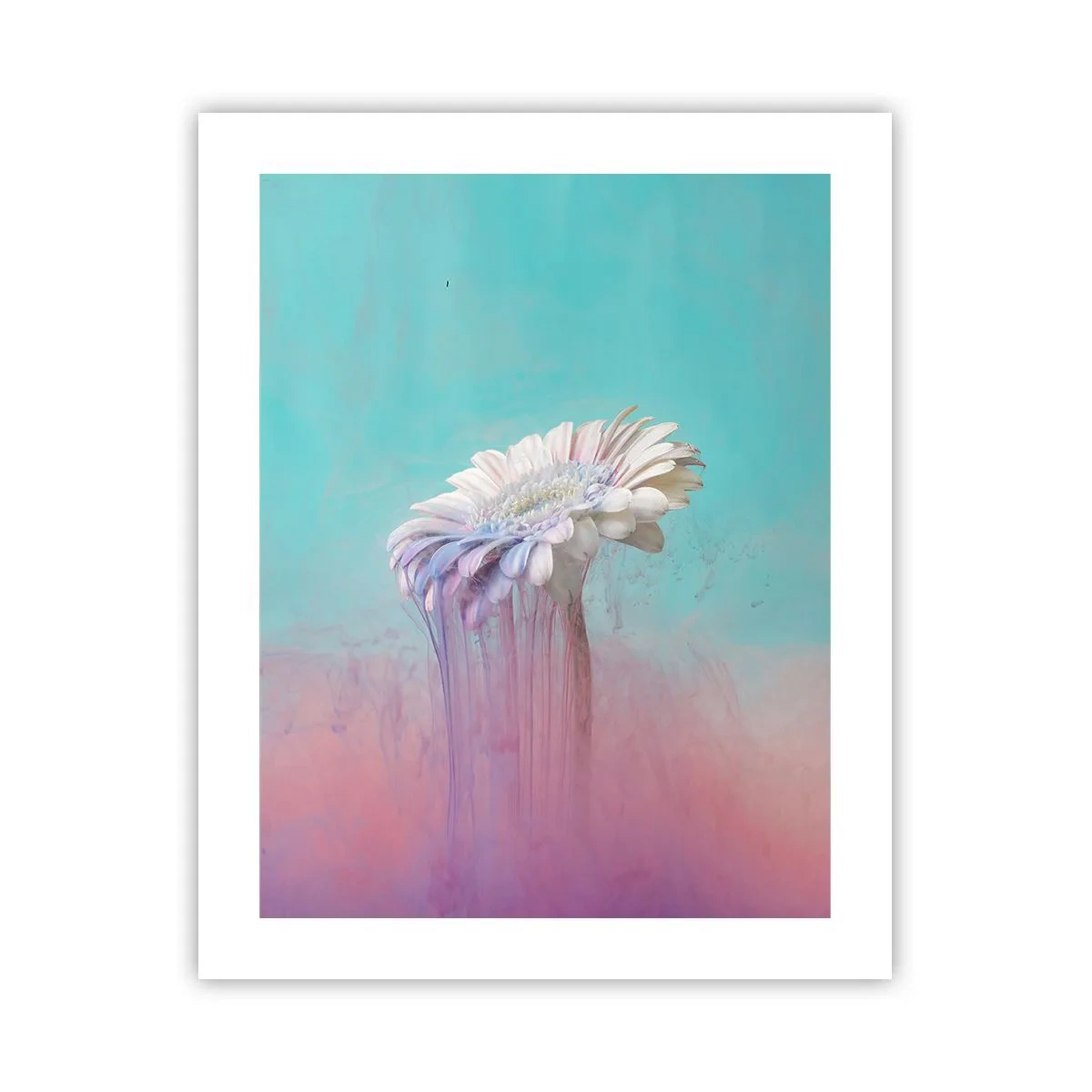 Poster - Blumenunterwelt - 40x50 cm
